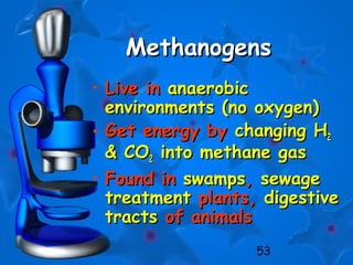 53
MethanogensMethanogens
• Live inLive in anaerobicanaerobic
environments (no oxygen)environments (no oxygen)
• Get energy byGet energy by changing Hchanging H22
& CO& CO22 into methane gasinto methane gas
• Found inFound in swampsswamps,, sewagesewage
treatmenttreatment plants,plants, digestivedigestive
tractstracts of animalsof animals
 