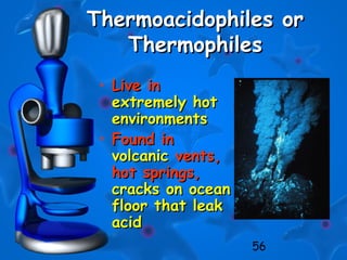 56
Thermoacidophiles orThermoacidophiles or
ThermophilesThermophiles
• Live inLive in
extremely hotextremely hot
environmentsenvironments
• Found inFound in
volcanicvolcanic vents,vents,
hot springs,hot springs,
cracks on oceancracks on ocean
floor that leakfloor that leak
acidacid
 