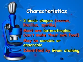 58
CharacteristicsCharacteristics
• 3 basic shapes3 basic shapes (coccus,(coccus,
bacillus, spirilla)bacillus, spirilla)
• Most areMost are heterotrophicheterotrophic
(can’t make their own food)(can’t make their own food)
• May beMay be aerobic oraerobic or
anaerobicanaerobic
• Identified byIdentified by Gram stainingGram staining
 