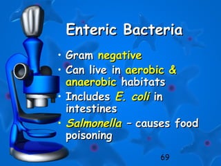 69
Enteric BacteriaEnteric Bacteria
• GramGram negativenegative
• Can live inCan live in aerobic &aerobic &
anaerobicanaerobic habitatshabitats
• IncludesIncludes E. coliE. coli inin
intestinesintestines
• SalmonellaSalmonella –– causes foodcauses food
poisoningpoisoning
 