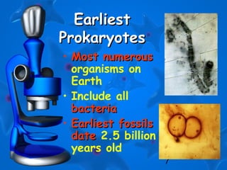 7
EarliestEarliest
ProkaryotesProkaryotes
• Most numerousMost numerous
organisms on
Earth
• Include all
bacteriabacteria
• Earliest fossilsEarliest fossils
datedate 2.5 billion
years old
 