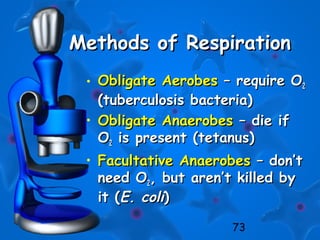 73
Methods of RespirationMethods of Respiration
• Obligate AerobesObligate Aerobes – require O– require O22
(tuberculosis bacteria)(tuberculosis bacteria)
• Obligate AnaerobesObligate Anaerobes – die if– die if
OO22 is present (tetanus)is present (tetanus)
• Facultative AnaerobesFacultative Anaerobes – don’t– don’t
need Oneed O22, but aren’t killed by, but aren’t killed by
it (it (E. coliE. coli))
 