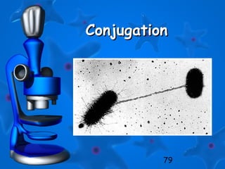 79
ConjugationConjugation
 