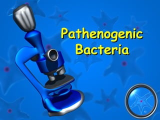 82
PathenogenicPathenogenic
BacteriaBacteria
 