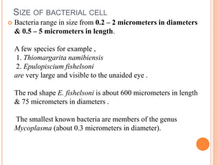 Structure of bacterial cell | PPT