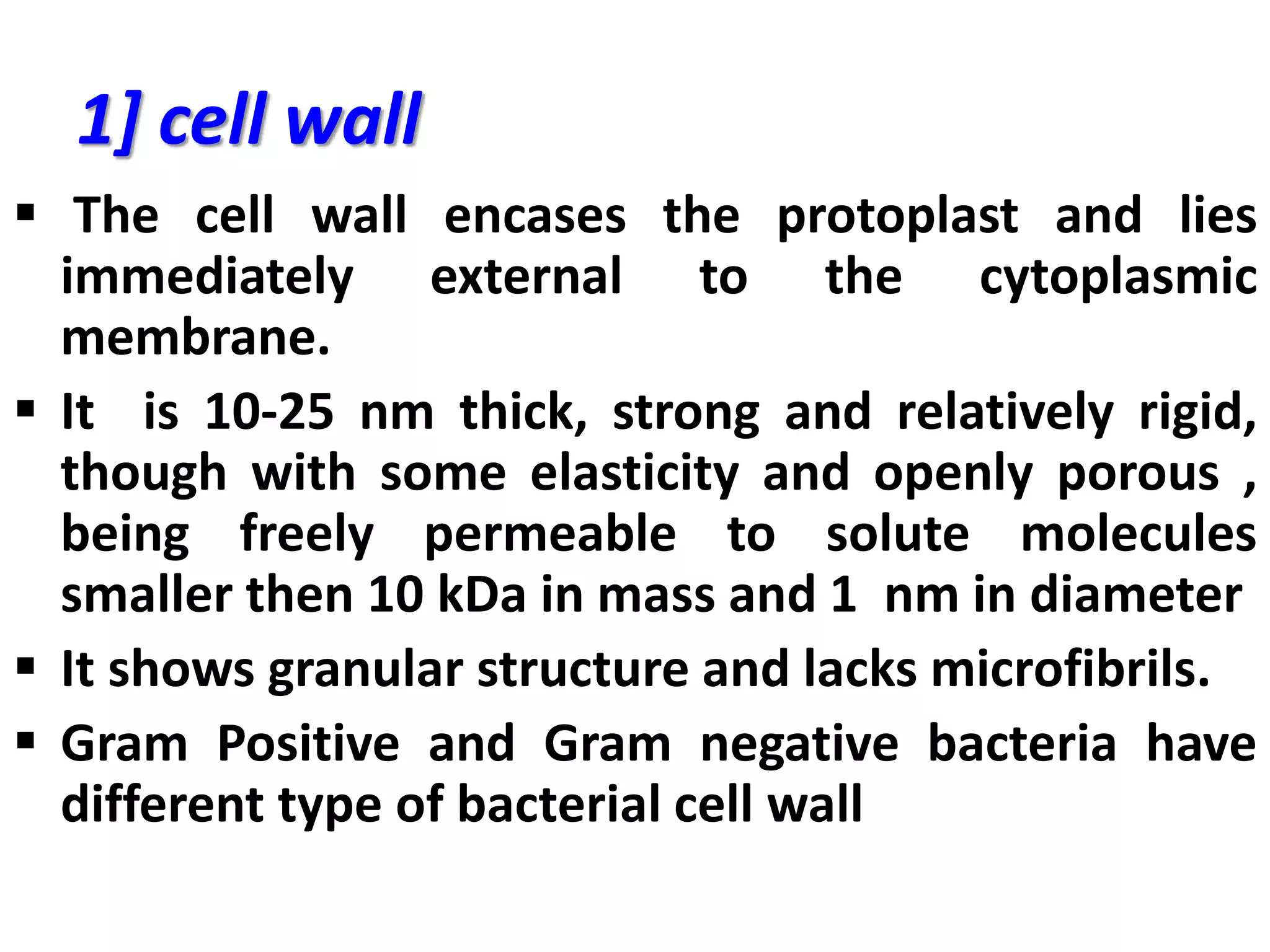 1] cell wall
 The cell wall encases the protoplast and lies
immediately external to the cytoplasmic
membrane.
 It is 10-25 nm thick, strong and relatively rigid,
though with some elasticity and openly porous ,
being freely permeable to solute molecules
smaller then 10 kDa in mass and 1 nm in diameter
 It shows granular structure and lacks microfibrils.
 Gram Positive and Gram negative bacteria have
different type of bacterial cell wall
 