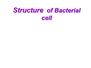 Structure of Bacterial
cell
 