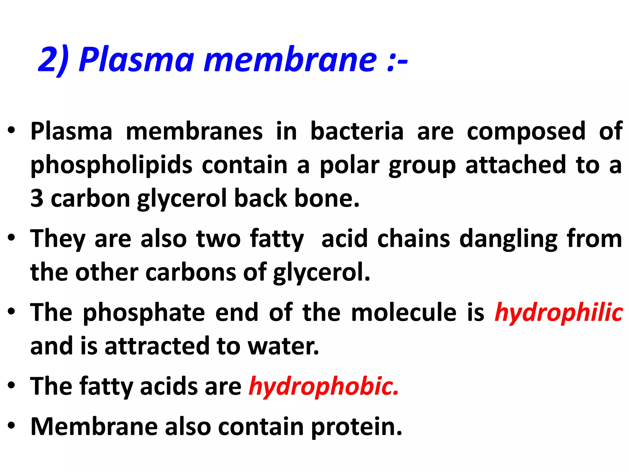 2) Plasma membrane :-
• Plasma membranes in bacteria are composed of
phospholipids contain a polar group attached to a
3 carbon glycerol back bone.
• They are also two fatty acid chains dangling from
the other carbons of glycerol.
• The phosphate end of the molecule is hydrophilic
and is attracted to water.
• The fatty acids are hydrophobic.
• Membrane also contain protein.
 