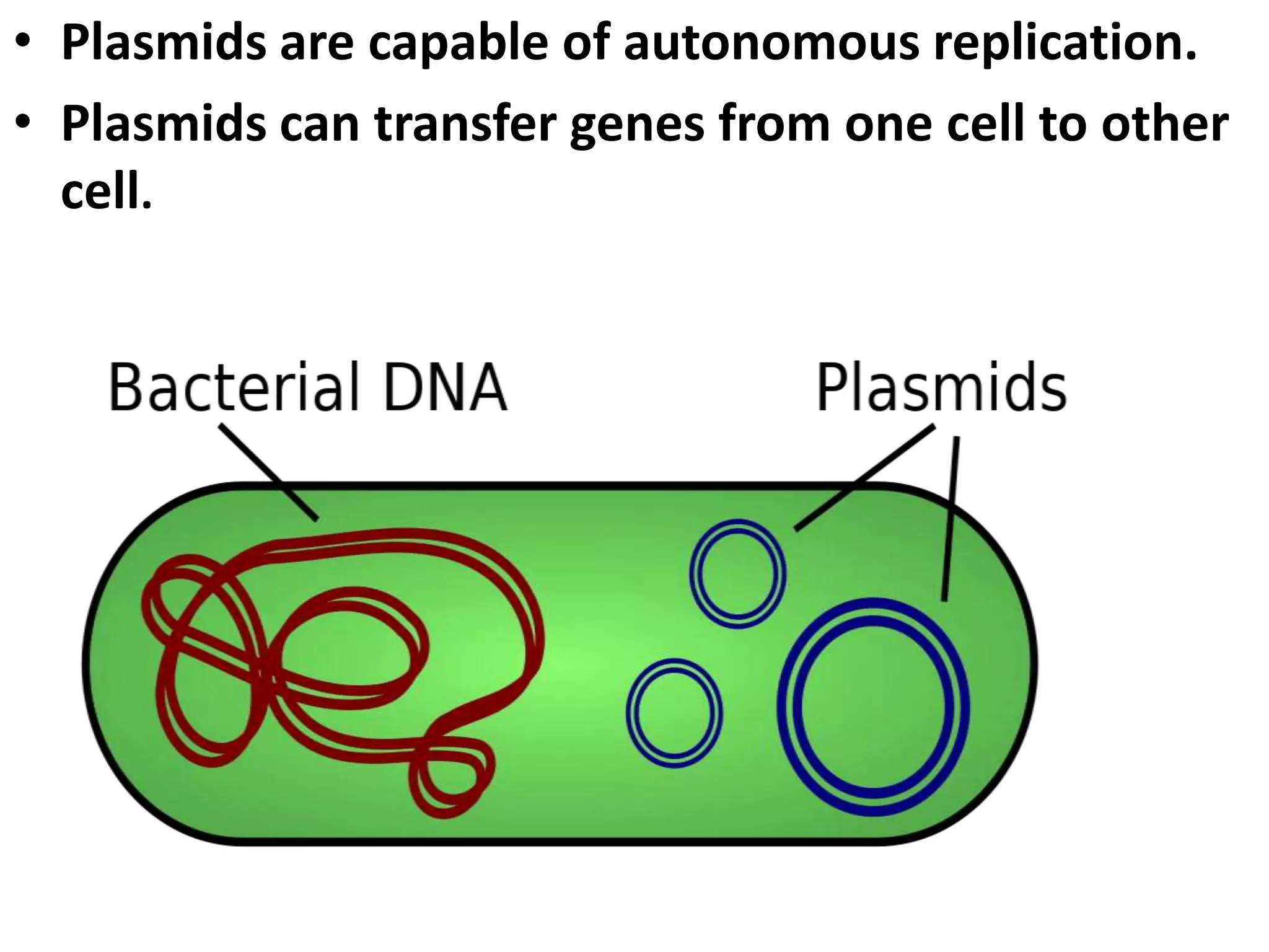 • Plasmids are capable of autonomous replication.
• Plasmids can transfer genes from one cell to other
cell.
 