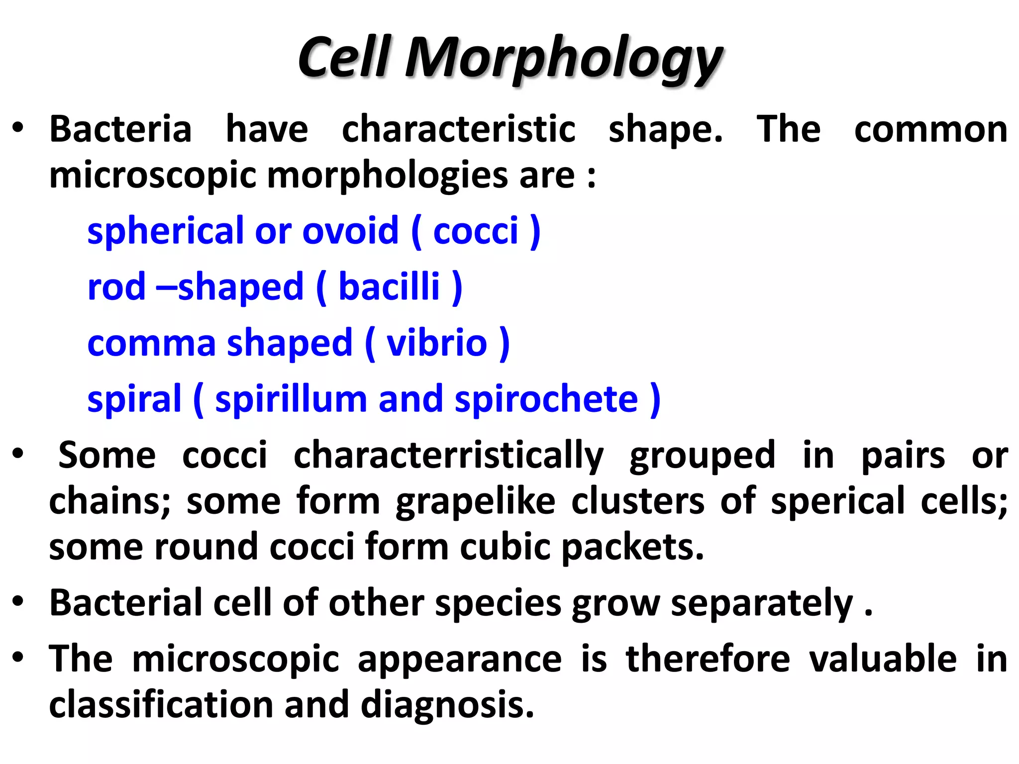 Cell Morphology
• Bacteria have characteristic shape. The common
microscopic morphologies are :
spherical or ovoid ( cocci )
rod –shaped ( bacilli )
comma shaped ( vibrio )
spiral ( spirillum and spirochete )
• Some cocci characterristically grouped in pairs or
chains; some form grapelike clusters of sperical cells;
some round cocci form cubic packets.
• Bacterial cell of other species grow separately .
• The microscopic appearance is therefore valuable in
classification and diagnosis.
 