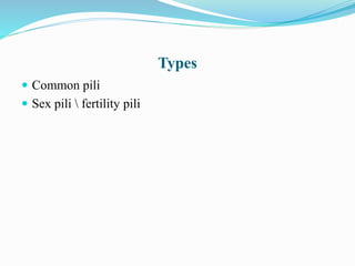 Structure of bacterial cell | PPTX