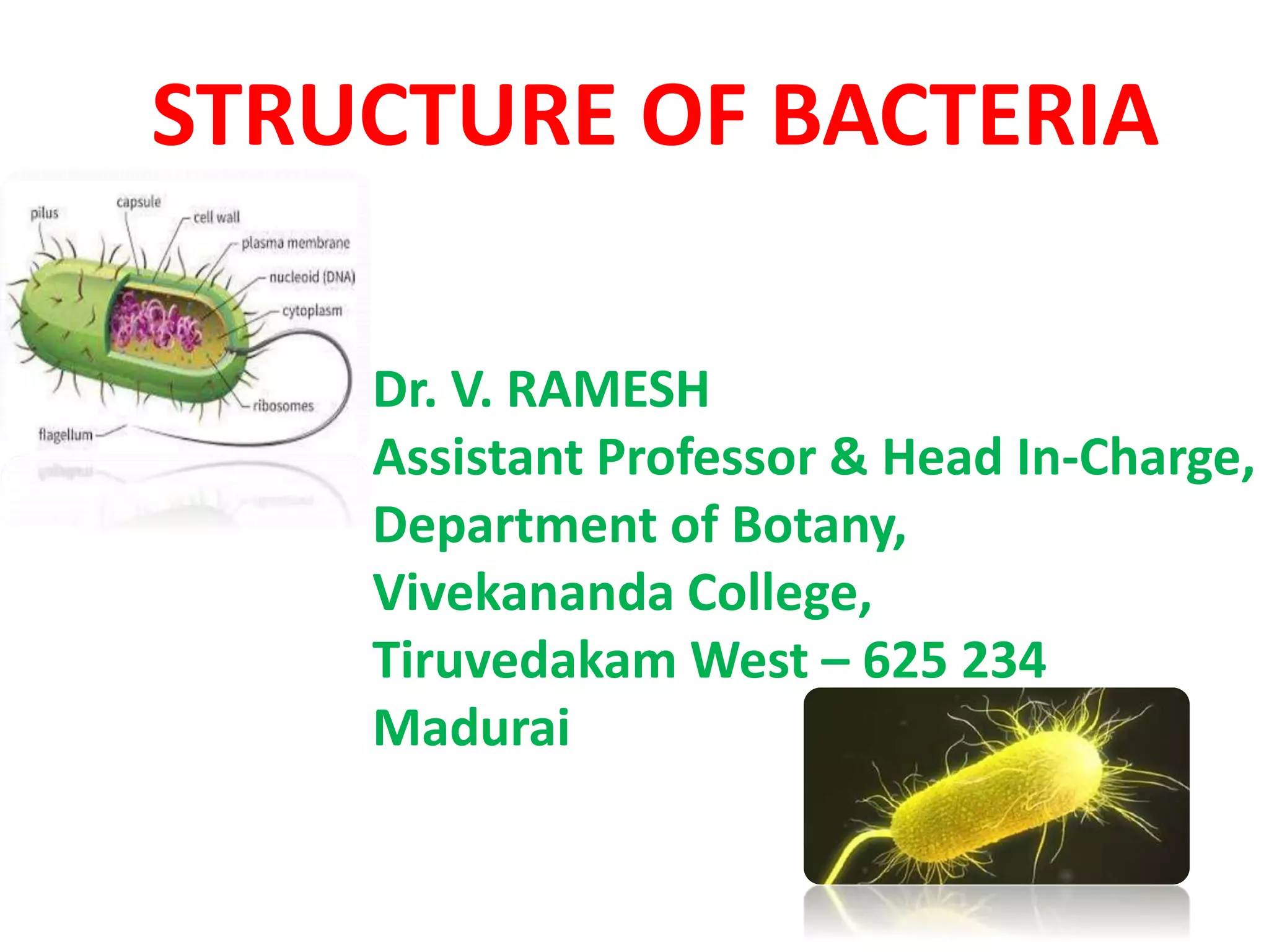 STRUCTURE OF BACTERIA
Dr. V. RAMESH
Assistant Professor & Head In-Charge,
Department of Botany,
Vivekananda College,
Tiruvedakam West – 625 234
Madurai