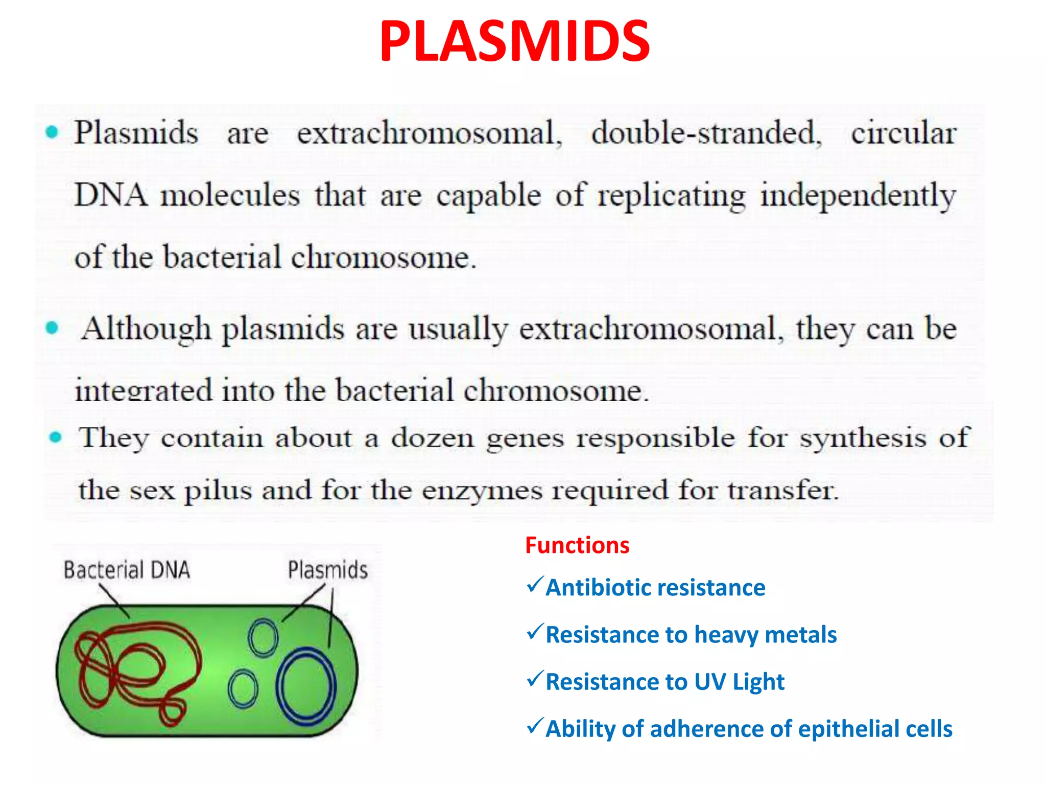 PLASMIDS
Functions
Antibiotic resistance
Resistance to heavy metals
Resistance to UV Light
Ability of adherence of epithelial cells