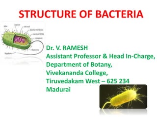 STRUCTURE OF BACTERIA
Dr. V. RAMESH
Assistant Professor & Head In-Charge,
Department of Botany,
Vivekananda College,
Tiruvedakam West – 625 234
Madurai
 