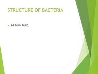STRUCTURE OF BACTERIA
 DR SAIMA TARIQ
 