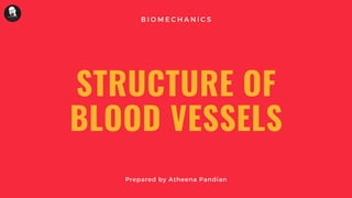 STRUCTURE OF
BLOOD VESSELS
Prepared by Atheena Pandian
B I O M E C H A N I C S
 