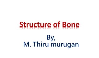 Structure of Bone
 