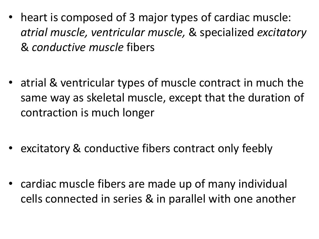 Structure of cardiac muscle excitation contraction coupling propertie…