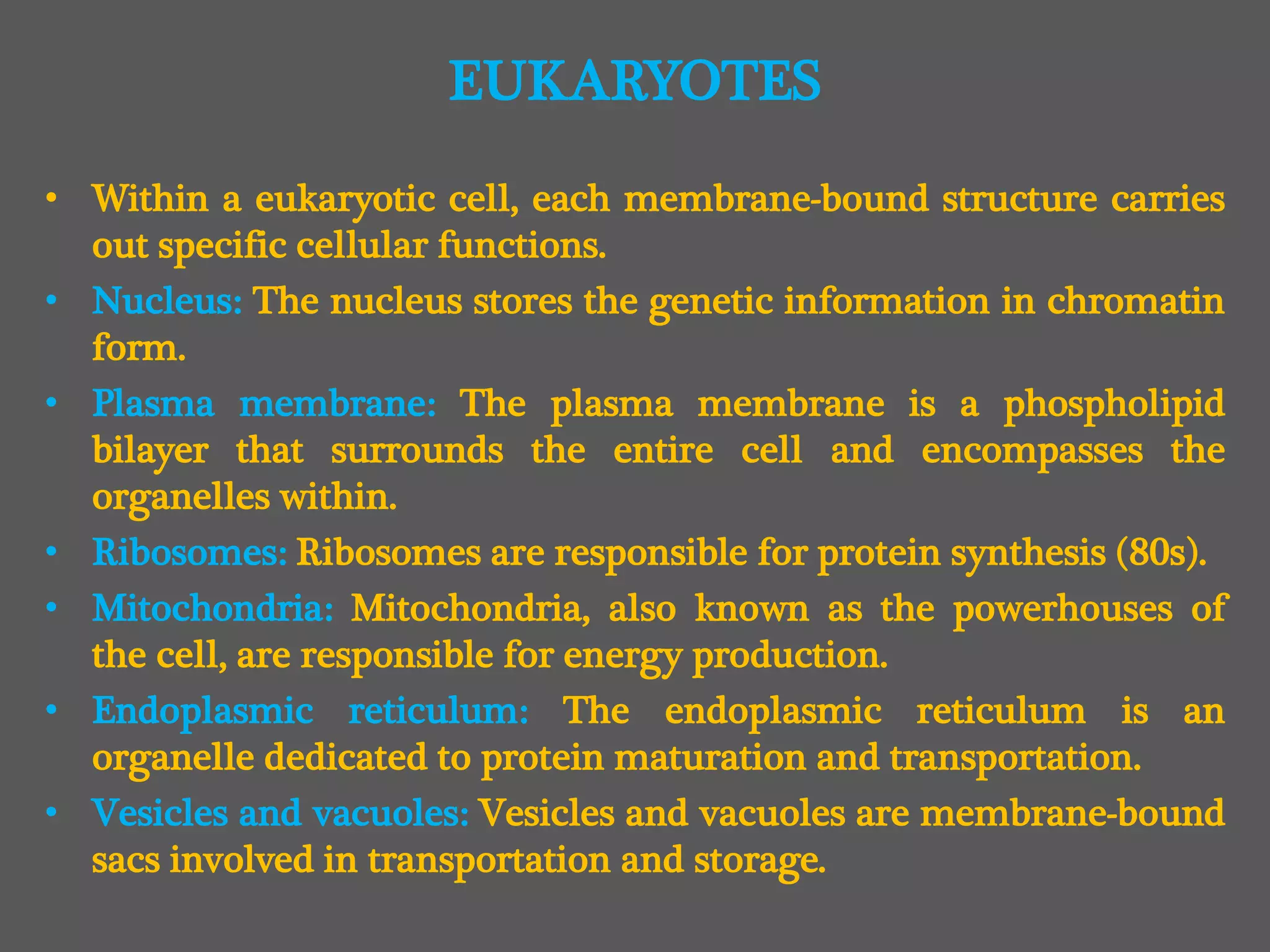 • Within a eukaryotic cell, each membrane-bound structure carries
out specific cellular functions.
• Nucleus: The nucleus stores the genetic information in chromatin
form.
• Plasma membrane: The plasma membrane is a phospholipid
bilayer that surrounds the entire cell and encompasses the
organelles within.
• Ribosomes: Ribosomes are responsible for protein synthesis (80s).
• Mitochondria: Mitochondria, also known as the powerhouses of
the cell, are responsible for energy production.
• Endoplasmic reticulum: The endoplasmic reticulum is an
organelle dedicated to protein maturation and transportation.
• Vesicles and vacuoles: Vesicles and vacuoles are membrane-bound
sacs involved in transportation and storage.
EUKARYOTES
 