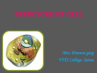 Structure of cell | PPTX | Biological Sciences | Science