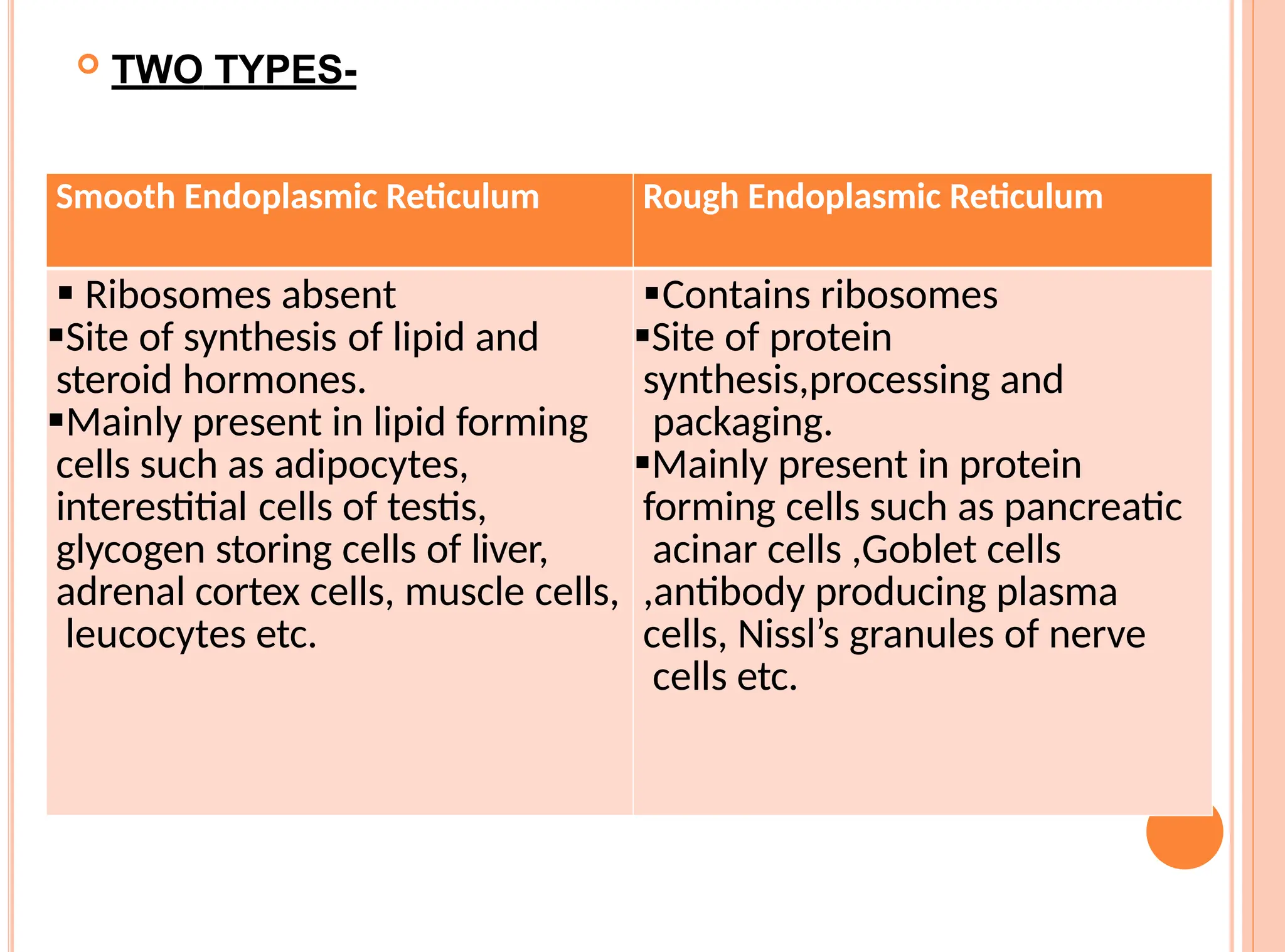  TWO TYPES-
Smooth Endoplasmic Reticulum Rough Endoplasmic Reticulum
 Ribosomes absent
Site of synthesis of lipid and
steroid hormones.
Mainly present in lipid forming
cells such as adipocytes,
interestitial cells of testis,
glycogen storing cells of liver,
adrenal cortex cells, muscle cells,
leucocytes etc.
Contains ribosomes
Site of protein
synthesis,processing and
packaging.
Mainly present in protein
forming cells such as pancreatic
acinar cells ,Goblet cells
,antibody producing plasma
cells, Nissl’s granules of nerve
cells etc.
 
