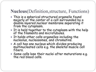 Nucleus(Definition,structure, Functions)
 This is a spherical structured organelle found
majorly at the center of a cell surrounded by a
double-layered nuclear membrane separating it
from the cytoplasm.
 It is held together to the cytoplasm with the help
of the filaments and microtubules.
 It holds other cells organelles including the
nucleolus, nucleosomes, and chromatins.
 A cell has one nucleus which divides producing
multinucleated cells e.g. the skeletal muscle cell
fibers.
 Some cells lose their nuclei after maturations e.g.
the red blood cells.
 