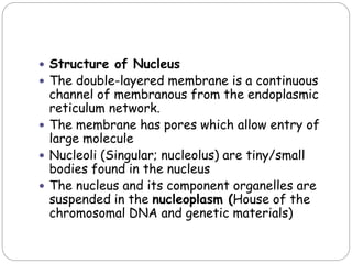  Structure of Nucleus
 The double-layered membrane is a continuous
channel of membranous from the endoplasmic
reticulum network.
 The membrane has pores which allow entry of
large molecule
 Nucleoli (Singular; nucleolus) are tiny/small
bodies found in the nucleus
 The nucleus and its component organelles are
suspended in the nucleoplasm (House of the
chromosomal DNA and genetic materials)
 