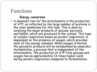 Functions
Energy conversion
 A dominant role for the mitochondria is the production
of ATP, as reflected by the large number of proteins in
the inner membrane for this task. This is done by
oxidizing the major products of glucose: pyruvate,
and NADH, which are produced in the cytosol. This type
of cellular respiration known as aerobic respiration, is
dependent on the presence of oxygen, which provides
most of the energy released. When oxygen is limited,
the glycolytic products will be metabolized by anaerobic
fermentation, a process that is independent of the
mitochondria. The production of ATP from glucose and
oxygen has an approximately 13-times higher yield
during aerobic respiration compared to fermentation.
 