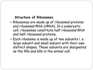 Structure of Ribosomes
 Ribosomes are made up of ribosomal proteins
and ribosomal RNA (rRNA). In a eukaryotic
cell, ribosomes constitute half ribosomal RNA
and half ribosomal proteins.
 Each ribosome is made up of two subunits i. e
large subunit and small subunit with their own
distinct shapes. These subunits are designated
as the 40s and 60s in the animal cell.
 