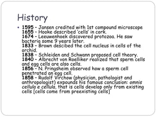 History
 1595 – Jansen credited with 1st compound microscope
1655 – Hooke described ‘cells’ in cork.
1674 – Leeuwenhoek discovered protozoa. He saw
bacteria some 9 years later.
1833 – Brown descibed the cell nucleus in cells of the
orchid.
1838 – Schleiden and Schwann proposed cell theory.
1840 – Albrecht von Roelliker realized that sperm cells
and egg cells are also cells.
1856 – N. Pringsheim observed how a sperm cell
penetrated an egg cell.
1858 – Rudolf Virchow (physician, pathologist and
anthropologist) expounds his famous conclusion: omnis
cellula e cellula, that is cells develop only from existing
cells [cells come from preexisting cells]
 