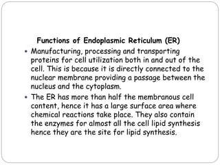 Functions of Endoplasmic Reticulum (ER)
 Manufacturing, processing and transporting
proteins for cell utilization both in and out of the
cell. This is because it is directly connected to the
nuclear membrane providing a passage between the
nucleus and the cytoplasm.
 The ER has more than half the membranous cell
content, hence it has a large surface area where
chemical reactions take place. They also contain
the enzymes for almost all the cell lipid synthesis
hence they are the site for lipid synthesis.
 