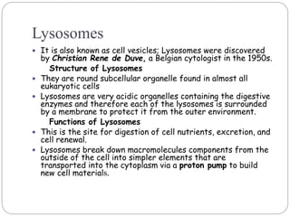 Lysosomes
 It is also known as cell vesicles; Lysosomes were discovered
by Christian Rene de Duve, a Belgian cytologist in the 1950s.
Structure of Lysosomes
 They are round subcellular organelle found in almost all
eukaryotic cells
 Lysosomes are very acidic organelles containing the digestive
enzymes and therefore each of the lysosomes is surrounded
by a membrane to protect it from the outer environment.
Functions of Lysosomes
 This is the site for digestion of cell nutrients, excretion, and
cell renewal.
 Lysosomes break down macromolecules components from the
outside of the cell into simpler elements that are
transported into the cytoplasm via a proton pump to build
new cell materials.
 