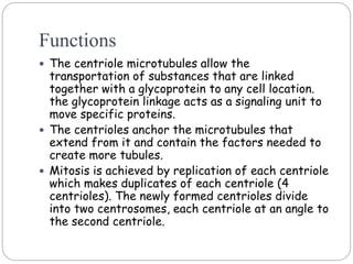 Functions
 The centriole microtubules allow the
transportation of substances that are linked
together with a glycoprotein to any cell location.
the glycoprotein linkage acts as a signaling unit to
move specific proteins.
 The centrioles anchor the microtubules that
extend from it and contain the factors needed to
create more tubules.
 Mitosis is achieved by replication of each centriole
which makes duplicates of each centriole (4
centrioles). The newly formed centrioles divide
into two centrosomes, each centriole at an angle to
the second centriole.
 