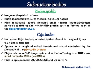 Subnuclear Structures Structure of cell | PPTX