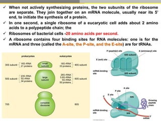 Structure of cell | PPTX