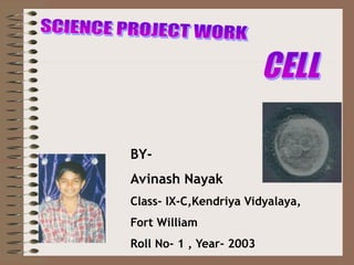 BY- 
Avinash Nayak 
Class- IX-C,Kendriya Vidyalaya, 
Fort William 
Roll No- 1 , Year- 2003  