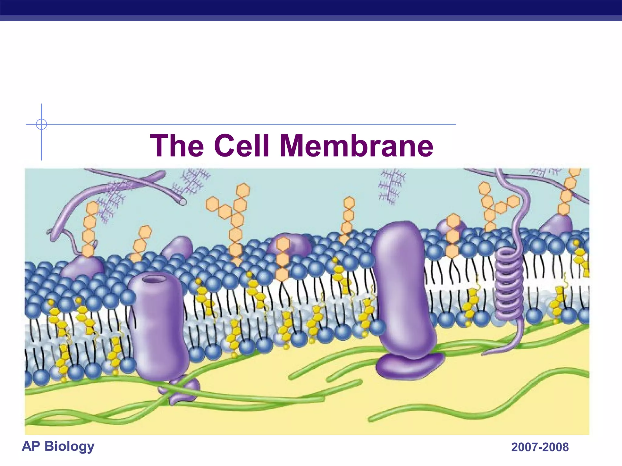 Structure of cell membrane and Transport | PPT