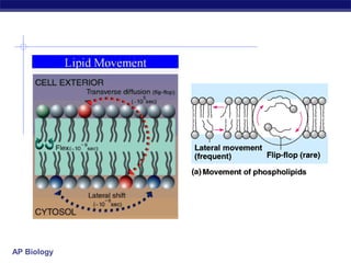 Structure of cell membrane and Transport | PPT