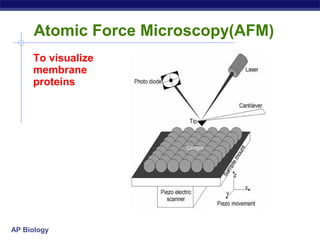 Structure of cell membrane and Transport | PPT