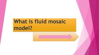What is fluid mosaic
model?
 
