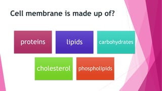 Cell membrane is made up of?
proteins lipids carbohydrates
cholesterol phospholipids
 