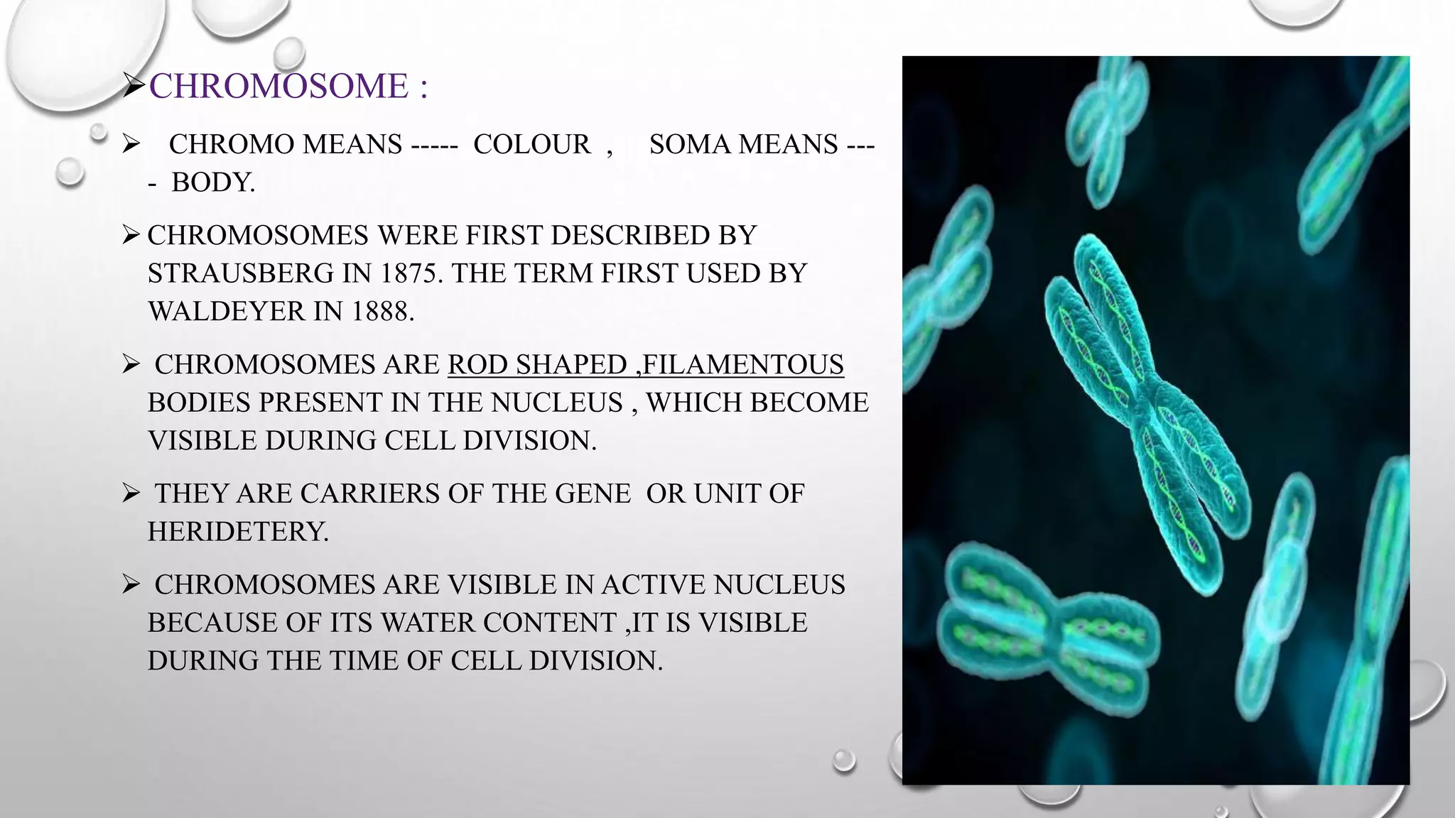 Structure of chromosome chandu 1 | PPTX