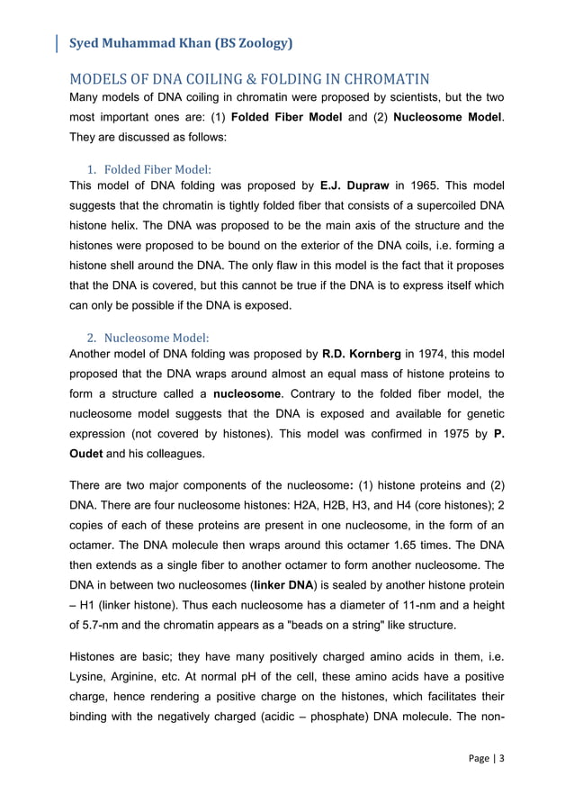 Structure of Chromosomes | PDF