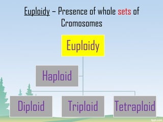 Euploidy – Presence of whole sets of
Cromosomes
 