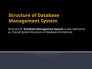 Structure of Database Management System.pptx
