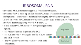 Structure of different type of RNA (1).pptx
