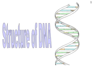 Structure of DNA 1 