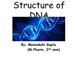 Structure of
DNA
By: Meenakshi Gupta
(M.Pharm. 2nd sem)
 