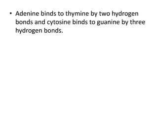 • Adenine binds to thymine by two hydrogen
bonds and cytosine binds to guanine by three
hydrogen bonds.
 