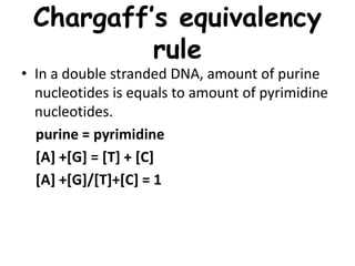Chargaff’s equivalency
rule
• In a double stranded DNA, amount of purine
nucleotides is equals to amount of pyrimidine
nucleotides.
purine = pyrimidine
[A] +[G] = [T] + [C]
[A] +[G]/[T]+[C] = 1
 